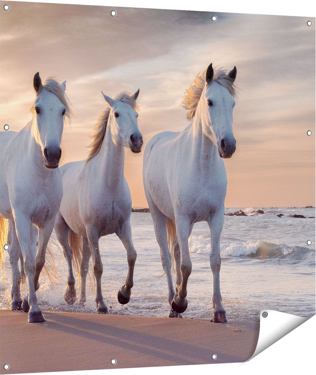 Gards Tuinposter Witte Paarden op het Strand bij Water - 110x110 cm - Tuindoek - Tuindecoratie - Wanddecoratie buiten - Tuinschilderij Multikleur