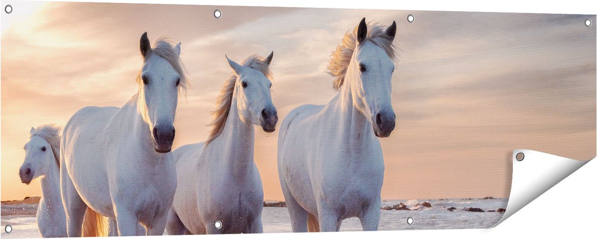 Gards Tuinposter Witte Paarden op het Strand bij Water - 150x50 cm - Tuindoek - Tuindecoratie - Wanddecoratie buiten - Tuinschilderij Multikleur