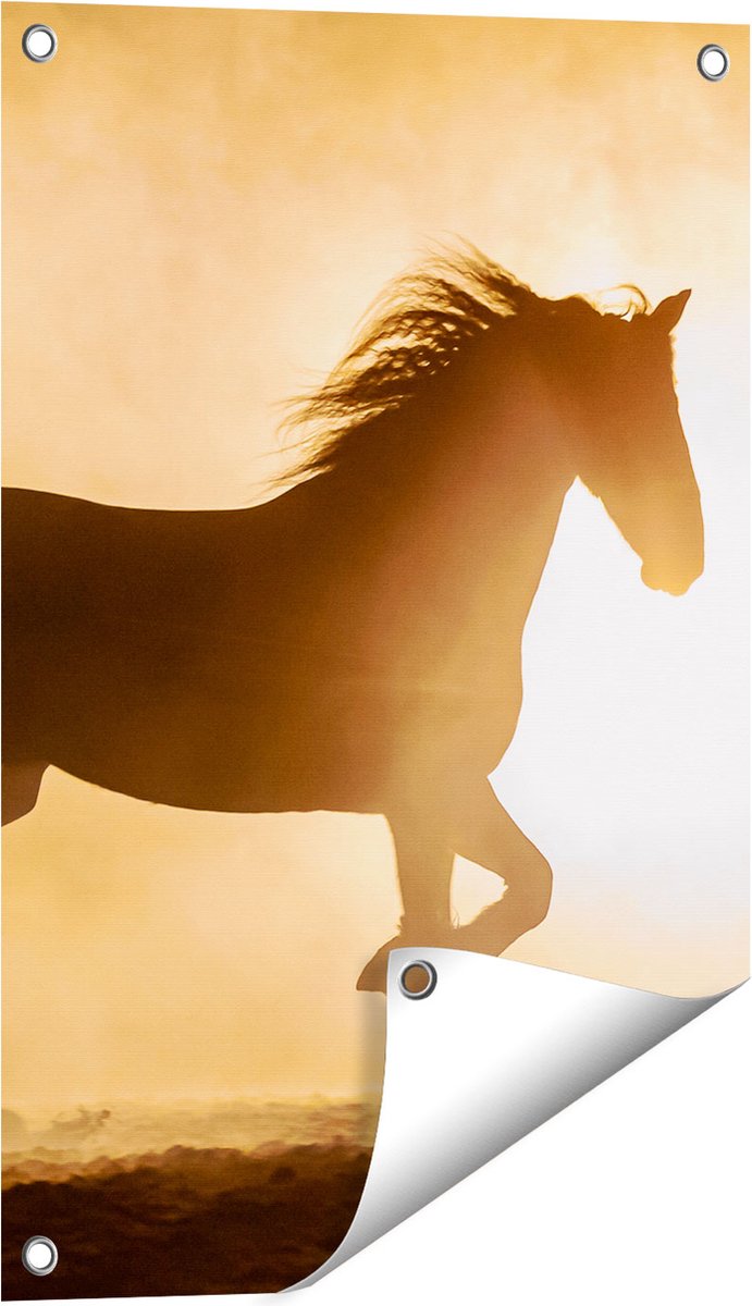 Gards Tuinposter Silhouet van een Paard - 40x60 cm - Tuindoek - Tuindecoratie - Wanddecoratie buiten - Tuinschilderij Multikleur