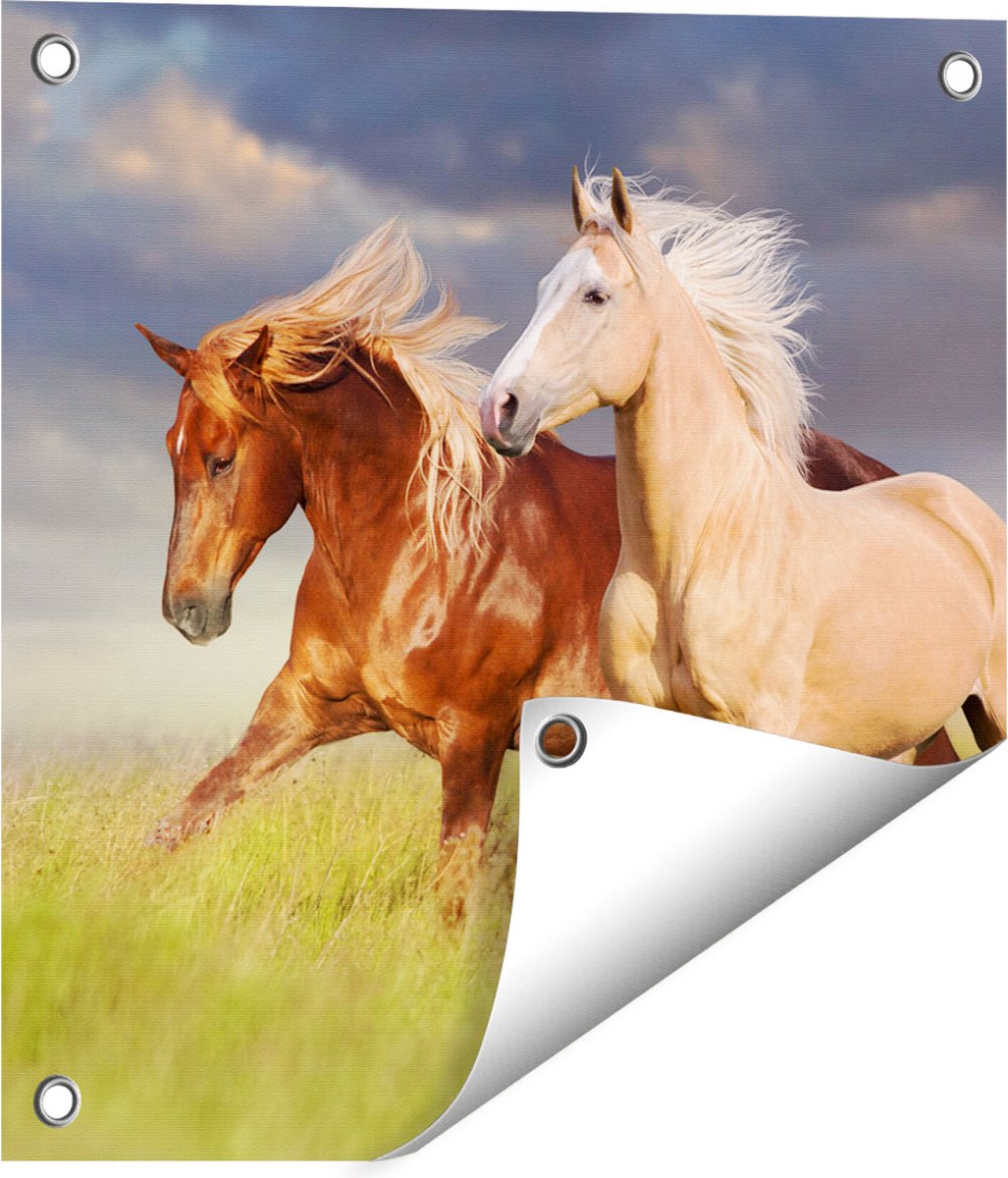 Gards Tuinposter Bruin en Wit Paard in de Wei - 40x40 cm - Tuindoek - Tuindecoratie - Wanddecoratie buiten - Tuinschilderij Multikleur