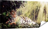 Gards Affiche de jardin Tigre dans la jungle avec soleil - 140x70 cm - Toile jardin - Décoration de jardin - Décoration murale extérieur - Tableau jardin