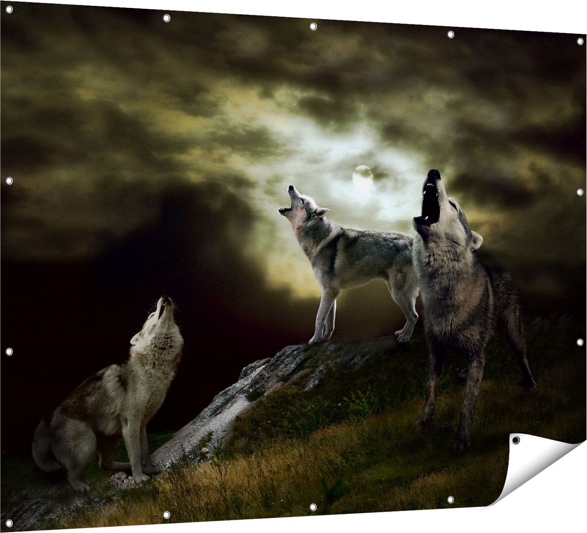 Gards Tuinposter Drie Huilende Wolven tijdens Volle Maan - 160x120 cm - Tuindoek - Tuindecoratie - Wanddecoratie buiten - Tuinschilderij Multikleur