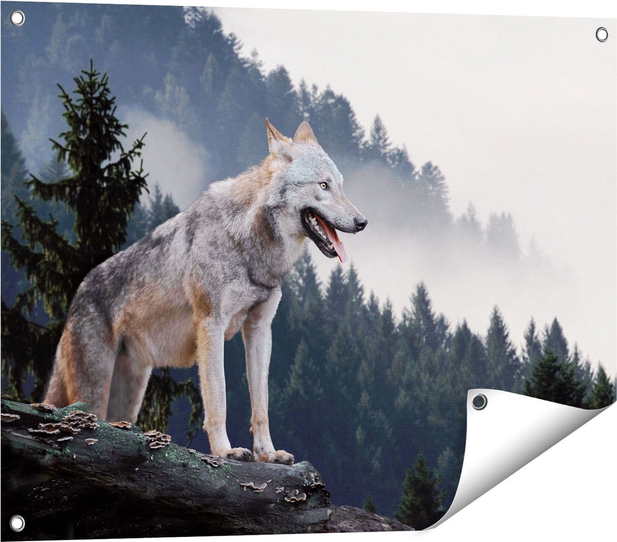 Gards Tuinposter Grijze Wolf in de Bossen - 80x60 cm - Tuindoek - Tuindecoratie - Wanddecoratie buiten - Tuinschilderij Multikleur
