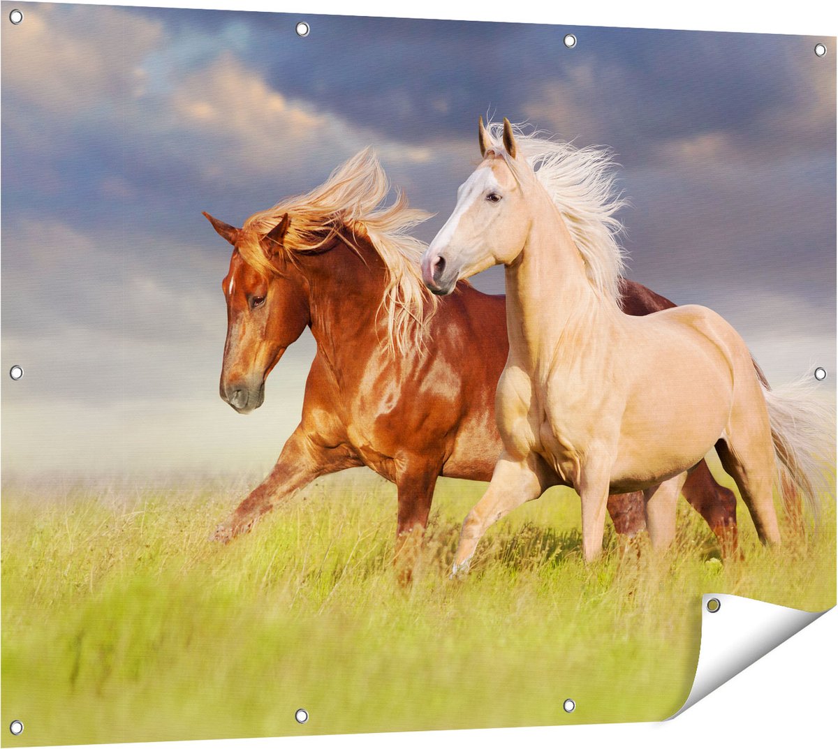 Gards Tuinposter Bruin en Wit Paard in de Wei - 120x90 cm - Tuindoek - Tuindecoratie - Wanddecoratie buiten - Tuinschilderij Multikleur