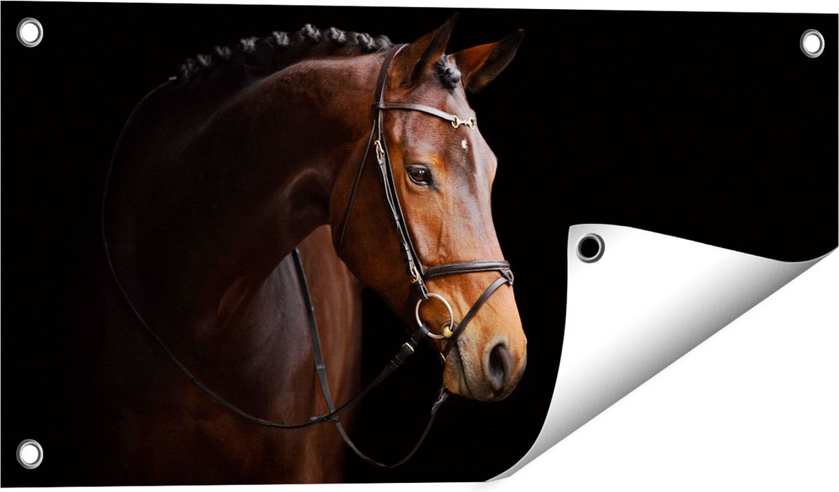 Gards Tuinposter Bruin Paard op een Zwart Achtergrond - 60x30 cm - Tuindoek - Tuindecoratie - Wanddecoratie buiten - Tuinschilderij Multikleur