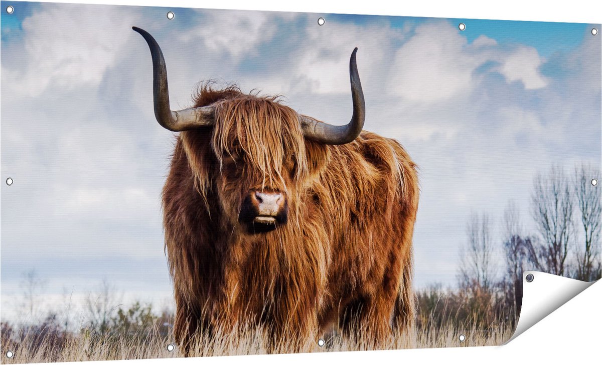 Gards Tuinposter Schotse Hooglander Koe - Kleur - 160x80 cm - Tuindoek - Tuindecoratie - Wanddecoratie buiten - Tuinschilderij Multikleur