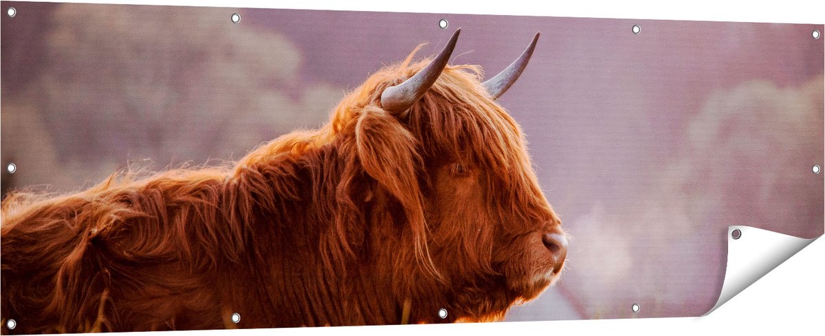 Gards Tuinposter Schotse Hooglander Koe Ligt in het Gras - 180x60 cm - Tuindoek - Tuindecoratie - Wanddecoratie buiten - Tuinschilderij Multikleur