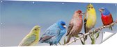 Gards Tuinposter Kleurrijke Zangvogels op een Tak - Kleur - 180x60 cm - Tuindoek - Tuindecoratie - Wanddecoratie buiten - Tuinschilderij