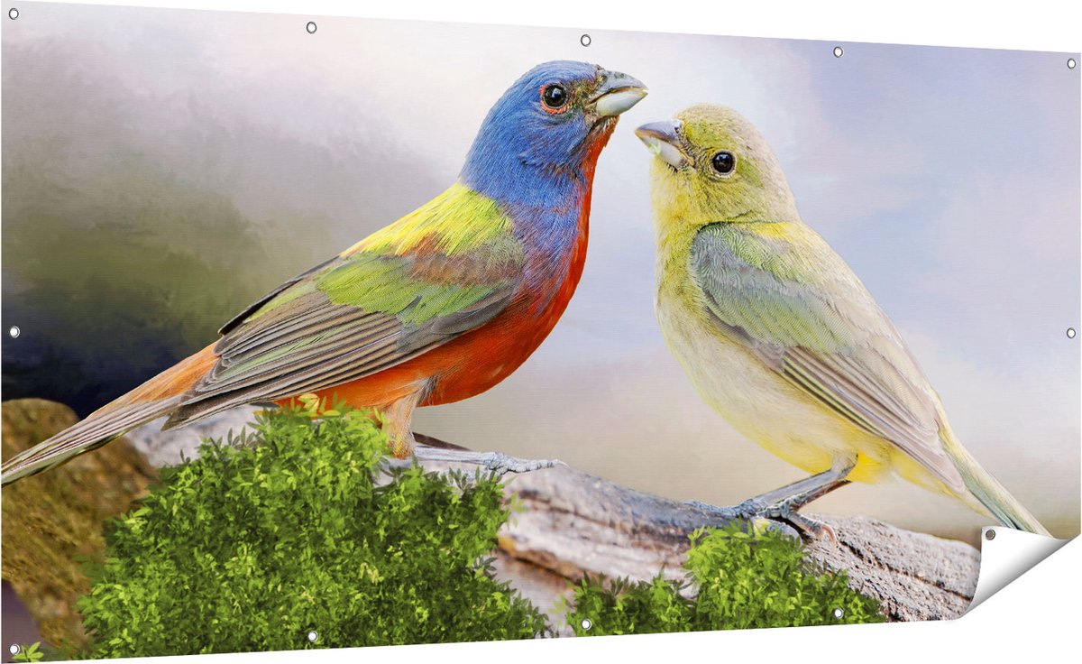 Gards Tuinposter Getekende Gorzen Vogels - Kleur - Abstract - 200x100 cm - Tuindoek - Tuindecoratie - Wanddecoratie buiten - Tuinschilderij Multikleur