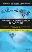 Protein Aggregation in Bacteria
