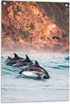 Tuinposter – Drie Synchroon Zwemmende Dolfijnen in de Zee - 60x80 cm Foto op Tuinposter (wanddecoratie voor buiten en binnen)