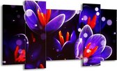 GroepArt - Schilderij - Krokus - Oranje, Blauw, - 120x65 5Luik - Foto Op Canvas - GroepArt 6000+ Schilderijen 0p Canvas Art Collectie - Wanddecoratie