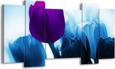 GroepArt - Schilderij - Tulp - Paars, Blauw, Wit - 120x65 5Luik - Foto Op Canvas - GroepArt 6000+ Schilderijen 0p Canvas Art Collectie - Wanddecoratie