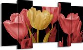 Peinture sur toile Tulipes | Jaune, rose, noir | 120x65 5 Liège