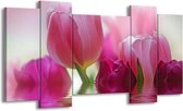 GroepArt - Schilderij - Tulpen - Roze, Wit, Groen - 120x65 5Luik - Foto Op Canvas - GroepArt 6000+ Schilderijen 0p Canvas Art Collectie - Wanddecoratie