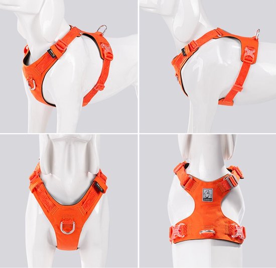 Anny-x Brustgeschirr Fun M oliv/hellgrün ab 43,01 € | Preisvergleich Anny-x Brustgeschirr Fun M oliv/hellgrün ab 43,01 € | Preisvergleich