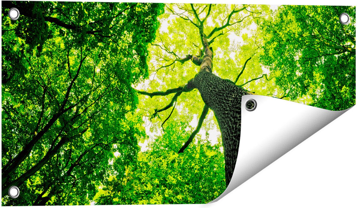 Gards Tuinposter Boom in het Bos met Fel Groene Bladeren - 60x30 cm - Tuindoek - Tuindecoratie - Wanddecoratie buiten - Tuinschilderij Multikleur