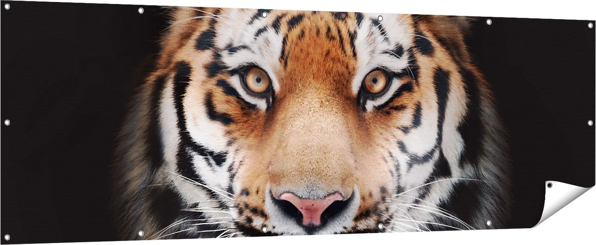 Gards Tuinposter Tijgerkop - Tijger - 210x70 cm - Tuindoek - Tuindecoratie - Wanddecoratie buiten - Tuinschilderij Multikleur