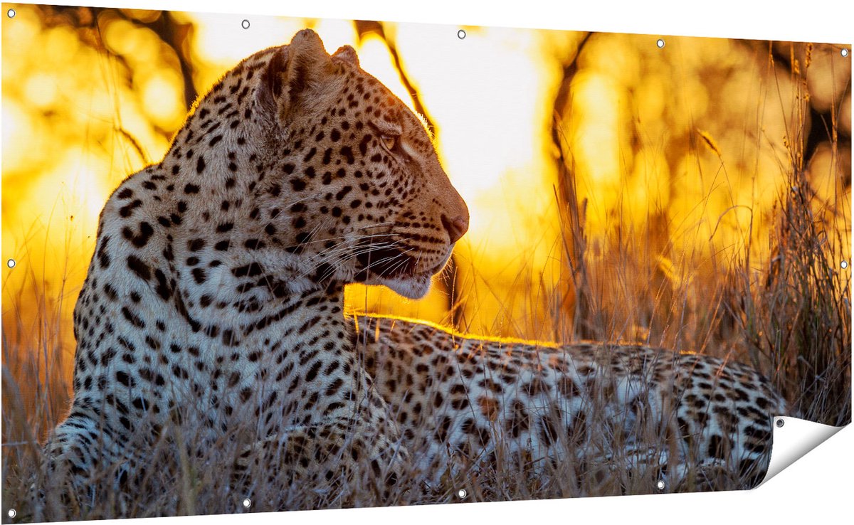 Gards Tuinposter Luipaard tijdens de Zonsondergang - 200x100 cm - Tuindoek - Tuindecoratie - Wanddecoratie buiten - Tuinschilderij Multikleur