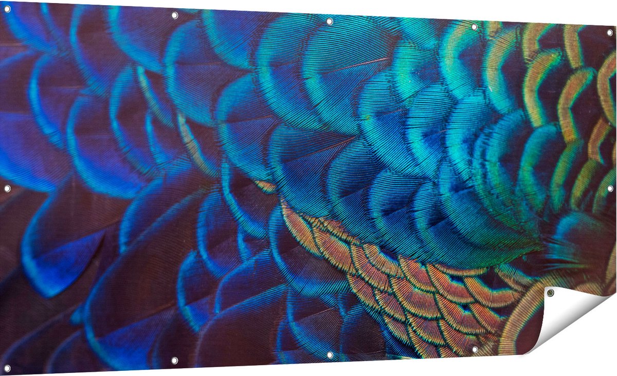 Gards Tuinposter Kleurrijke Pauw Veren van Dichtbij - 180x90 cm - Tuindoek - Tuindecoratie - Wanddecoratie buiten - Tuinschilderij Multikleur