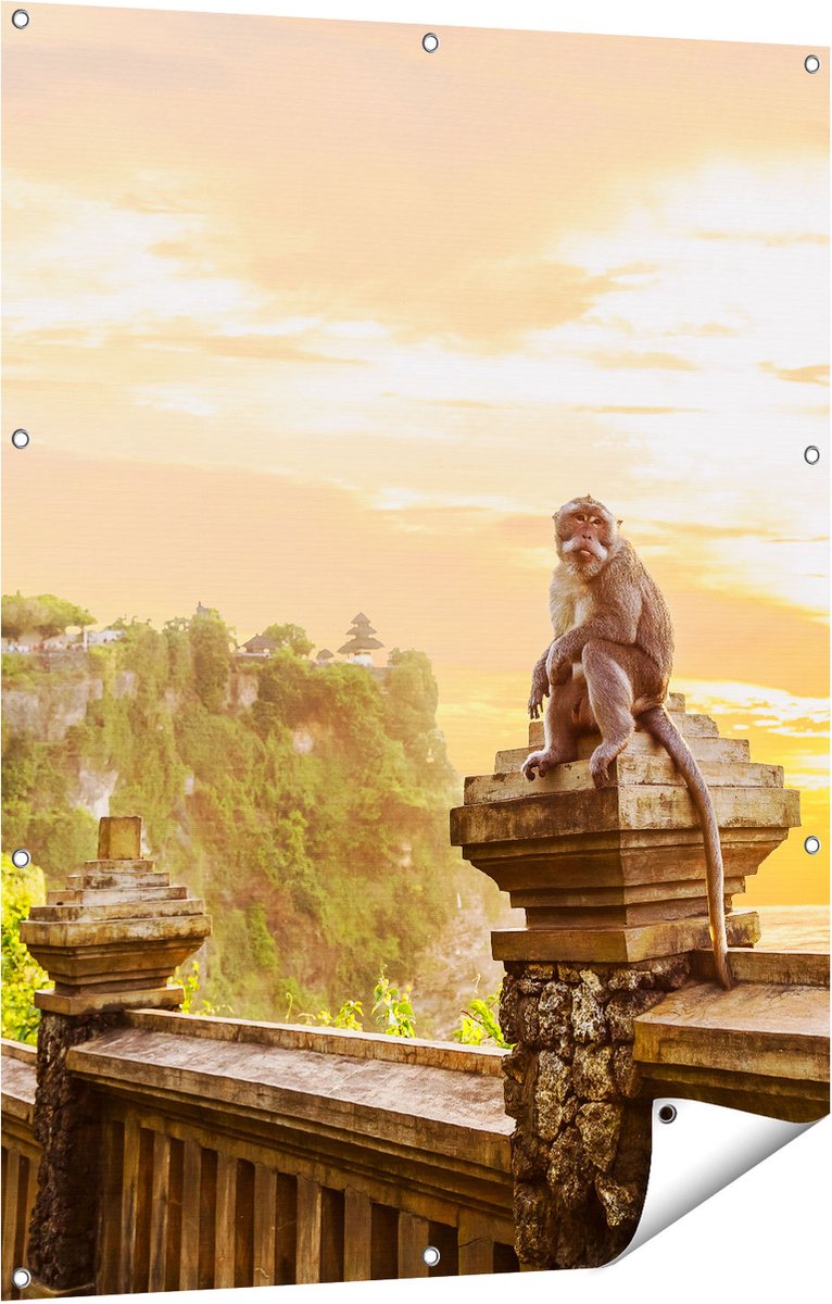 Gards Tuinposter Aap op de Uluwatu Tempel in Bali - 90x120 cm - Tuindoek - Tuindecoratie - Wanddecoratie buiten - Tuinschilderij Multikleur