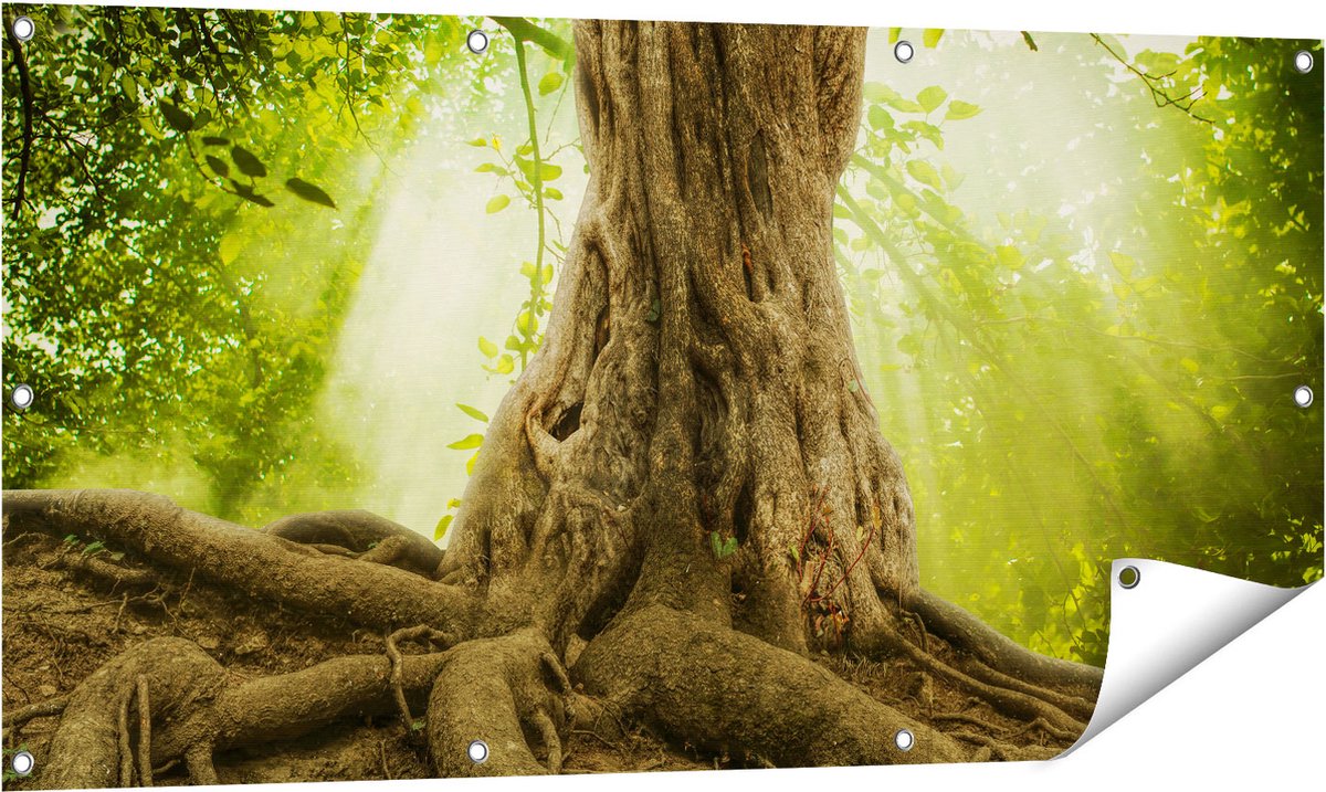 Gards Tuinposter Grote Boom in het Bos met Wortels - 120x60 cm - Tuindoek - Tuindecoratie - Wanddecoratie buiten - Tuinschilderij Multikleur