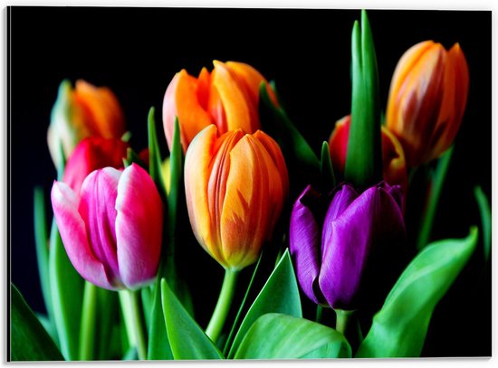 Dibond - Bos Gekleurde Tulpen op Zwarte Achtergrond - 40x30 cm Foto op Aluminium (Wanddecoratie van metaal)