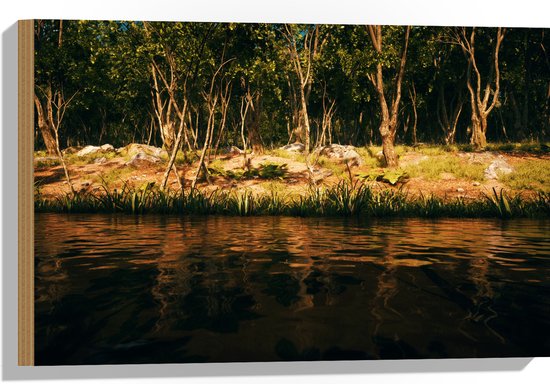 Houten deegplank 58 x 48 cm ACTIE