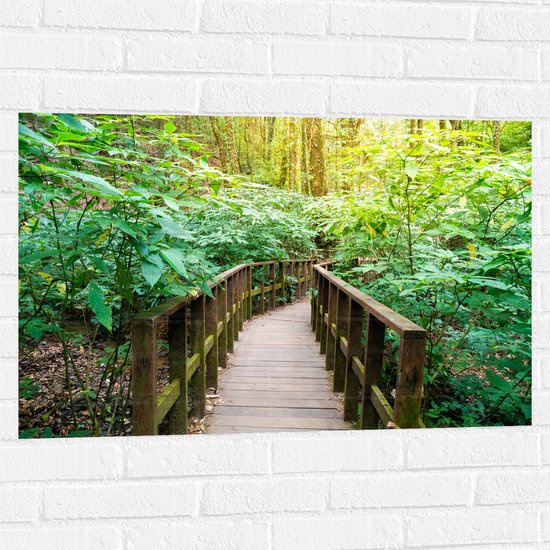 Muursticker - Houten Bruggetje door de Planten in het Bos - 90x60 cm Foto op Muursticker