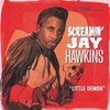 Screamin' Jay Hawkins - Little Demon (7" Vinyl Single)