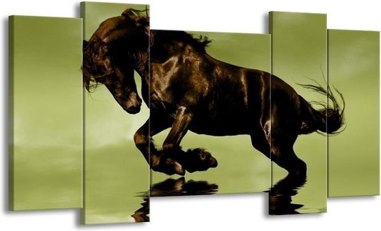 Canvas schilderij Paard | Groen, Bruin, Zwart | | F002880