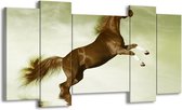 GroepArt - Schilderij - Paard - Groen, Bruin - 120x65 5Luik - Foto Op Canvas - GroepArt 6000+ Schilderijen 0p Canvas Art Collectie - Wanddecoratie
