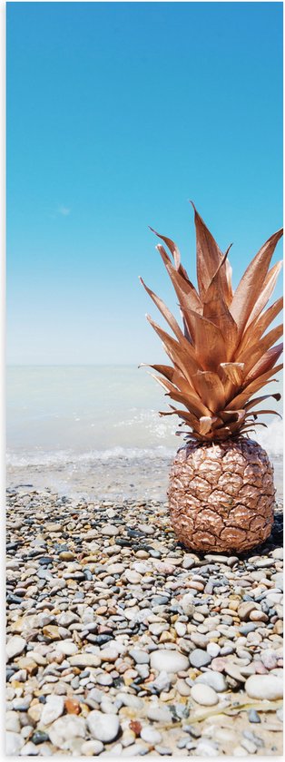 Poster Glanzend – Ananas op Kiezelstenen - 20x60 cm Foto op Posterpapier met Glanzende Afwerking