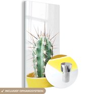 MuchoWow® Glasschilderij 60x120 cm - Schilderij acrylglas - Cactus - Planten - Natuur - Groen - Foto op glas - Schilderijen