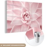 MuchoWow® Glasschilderij 150x100 cm - Schilderij acrylglas - Bloem - Roze - Natuur - Plant - Foto op glas - Schilderijen