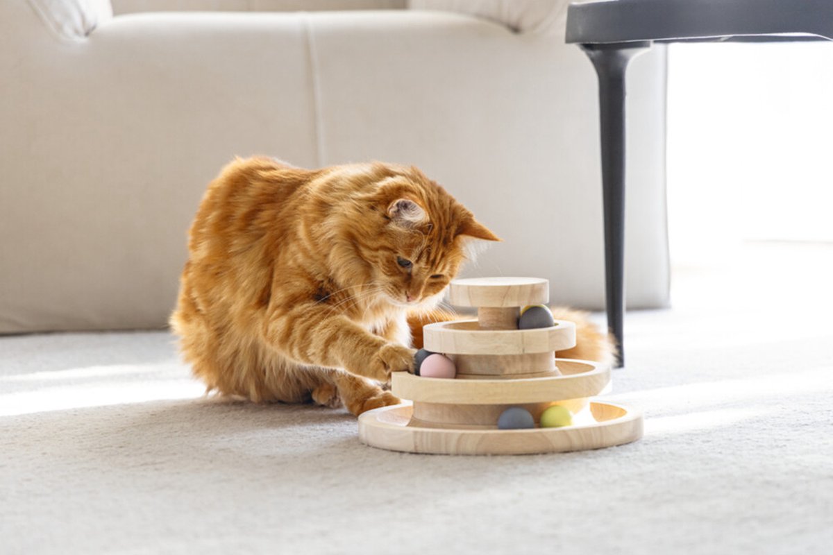 Designed by Lotte Speeltoren Mia - Kattenspeelgoed - Hout - Bruin - 26x26x14,5 cm — afbeelding 5