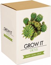 Cultivez votre eigen cactus - Mags