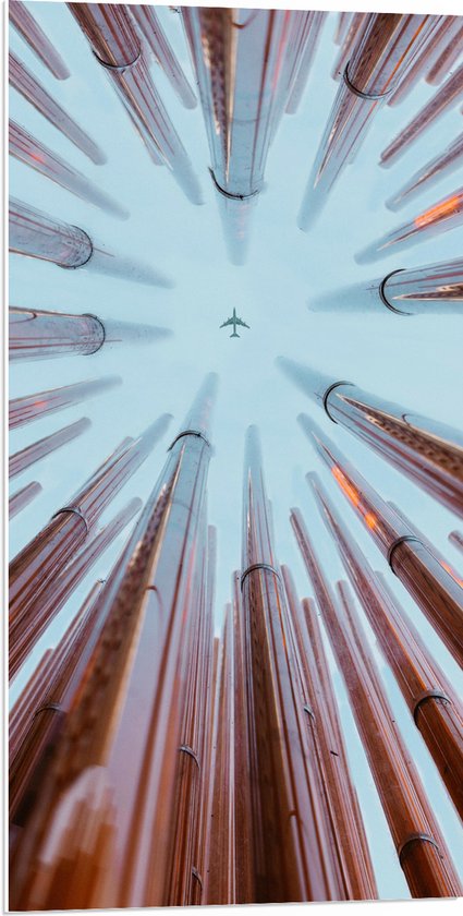 PVC Schuimplaat - Onderaanzicht van Vliegtuig vliegend tussen Wolkenkrabbers - 50x100 cm Foto op PVC Schuimplaat (Met Ophangsysteem)