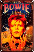 Signs-USA - Concert Sign - metaal - David Bowie - Ziggy Stardust - 20x30 cm