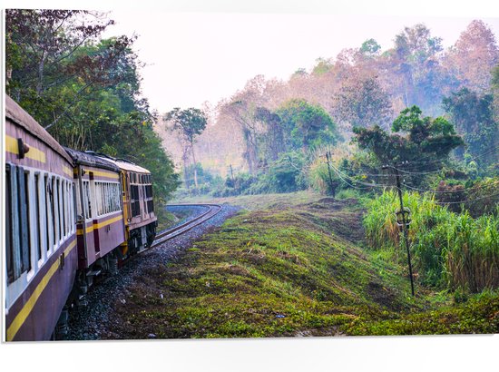 WallClassics - Panneau en mousse PVC – Train thaïlandais à travers la réserve naturelle verte en Thaïlande – Photo 75 x 50 cm sur panneau en mousse PVC