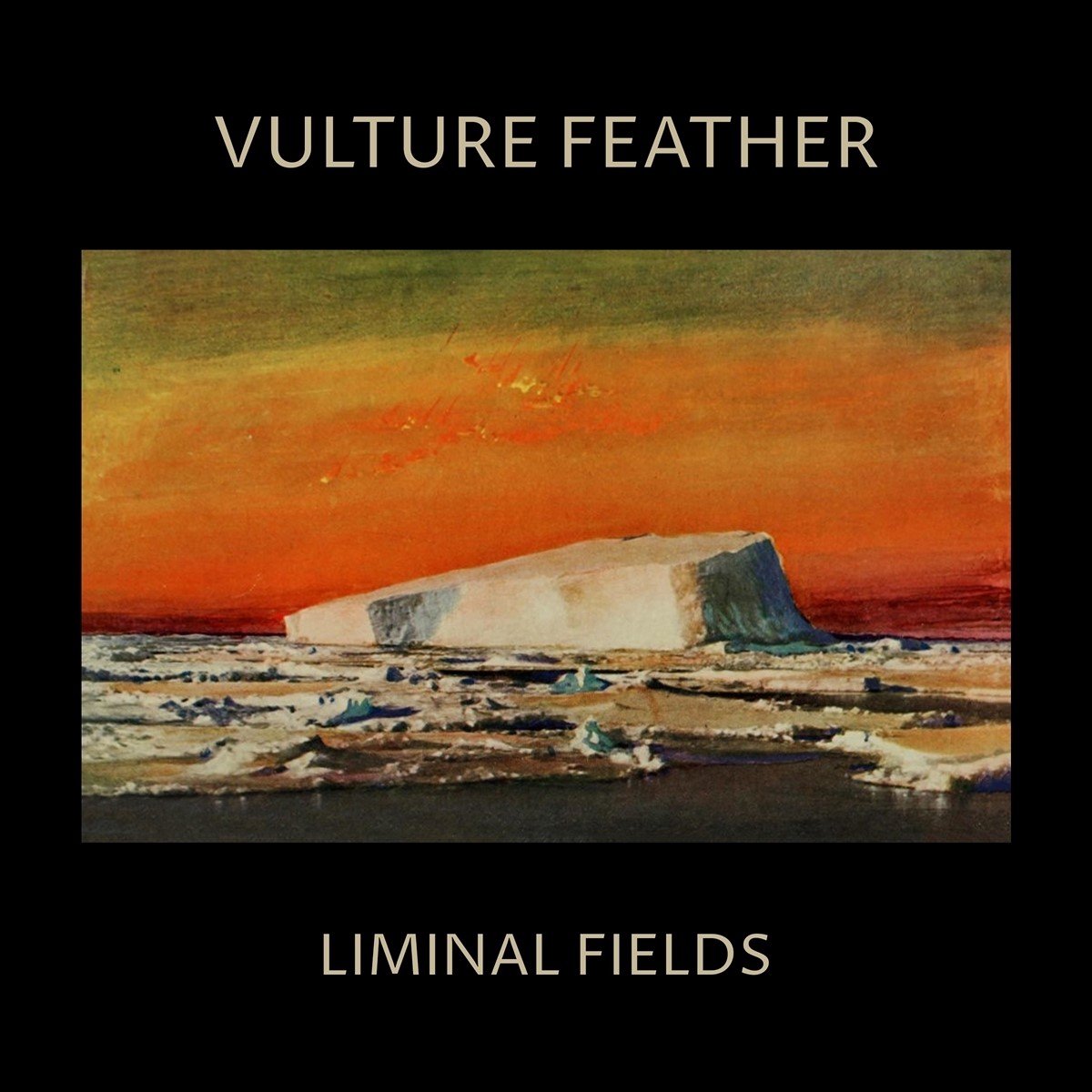 Vulture Feather - Liminal Fields (LP) (Coloured Vinyl) (Limited Edition)