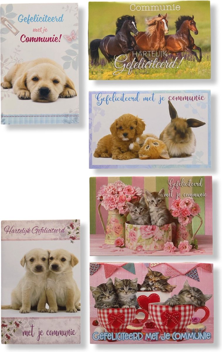 6 Cards & Crafts Luxe Communie Wenskaarten - 12x17cm - Gevouwen kaarten met enveloppen