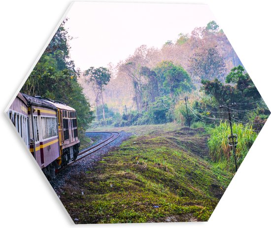 WallClassics - Feuille de mousse PVC Hexagone - Train thaïlandais à travers la réserve naturelle verte en Thaïlande - 30x26,1 cm Photo sur Hexagone (avec système de suspension)