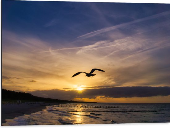 Dibond - Silhouet van Meeuw vliegend boven Kalme Zee - 80x60 cm Foto op Aluminium (Met Ophangsysteem)