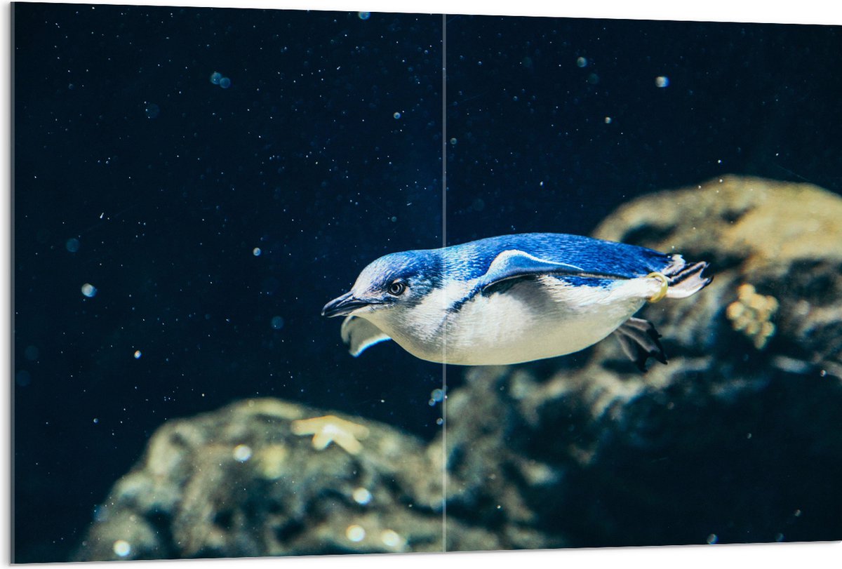 Acrylglas - Zwemmende Blauwe Pingïun door Aquarium - 120x80 cm Foto op Acrylglas (Met Ophangsysteem)