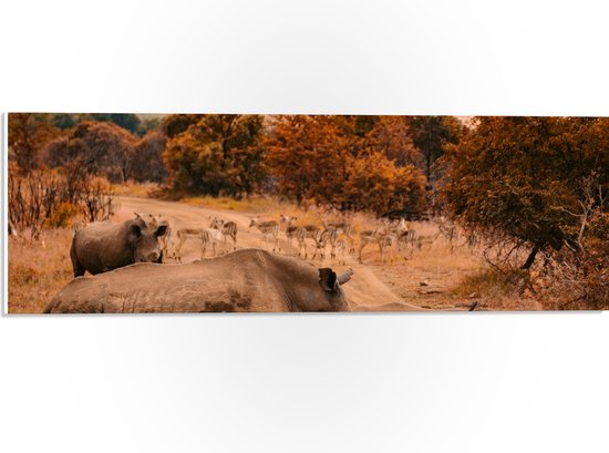 PVC Schuimplaat- Overstekende Groep Neushorens met Antilopes in Afrika - 60x20 cm Foto op PVC Schuimplaat