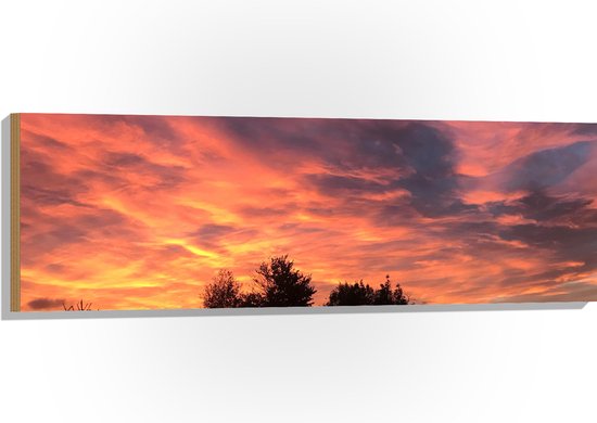 Hout - Roze Gloed in Lucht boven Silhouet van Bomen - 120x40 cm - 9 mm