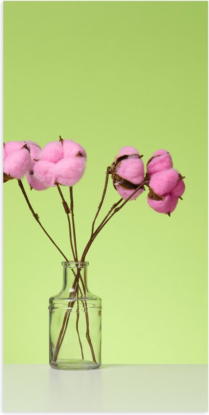 Poster Glanzend – Roze Katoenbollen aan Takken in Vaas tegen Groene Achtergrond - 50x100 cm Foto op Posterpapier met Glanzende Afwerking