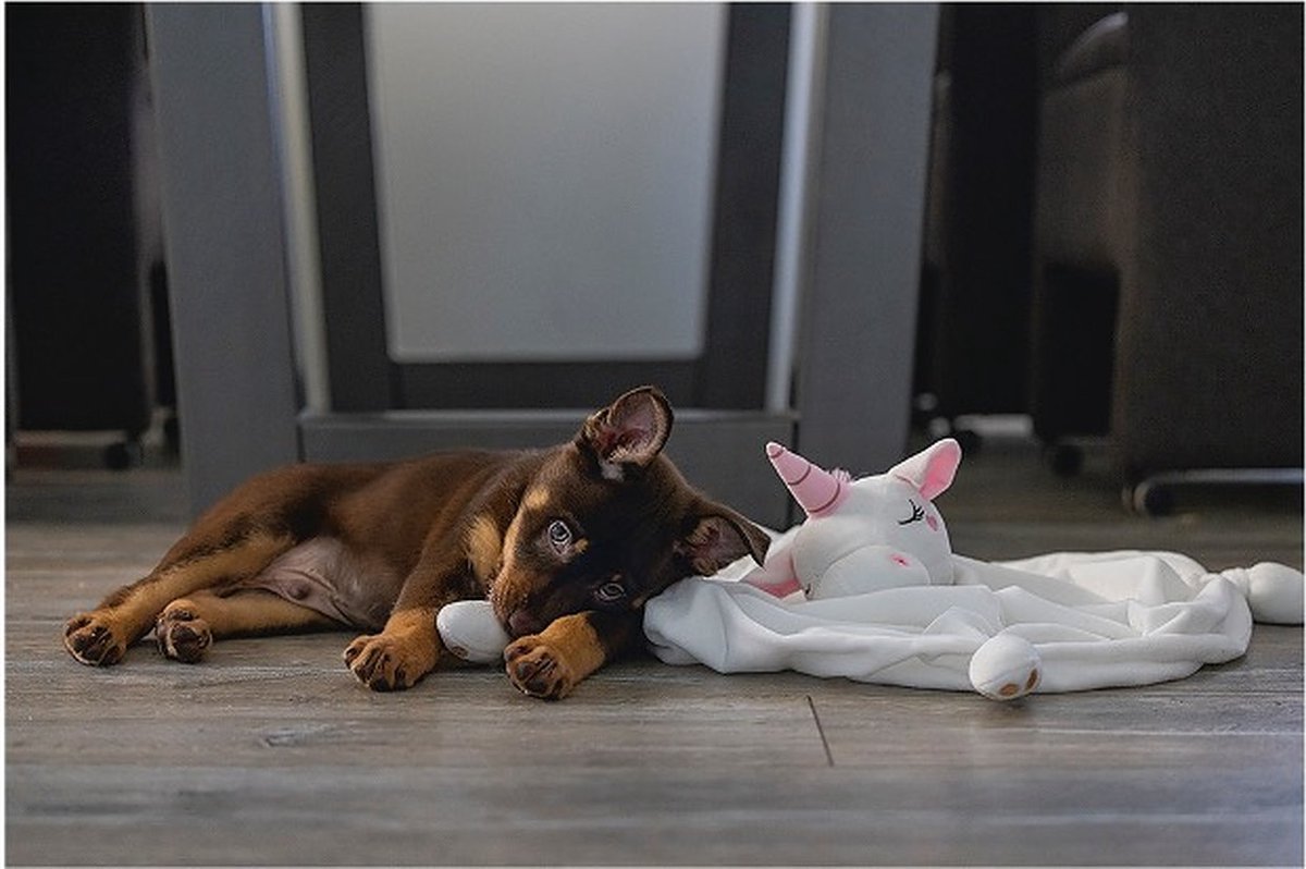 LG Beeztees Puppy Knuffeldoek Unicorn - Puppy Speelgoed thumbnail 6