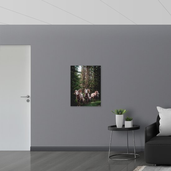 Dibond - Groep Rammen met Horens Lopend door Bos met Hoge Bomen - 60x80 cm Foto op Aluminium (Met Ophangsysteem)